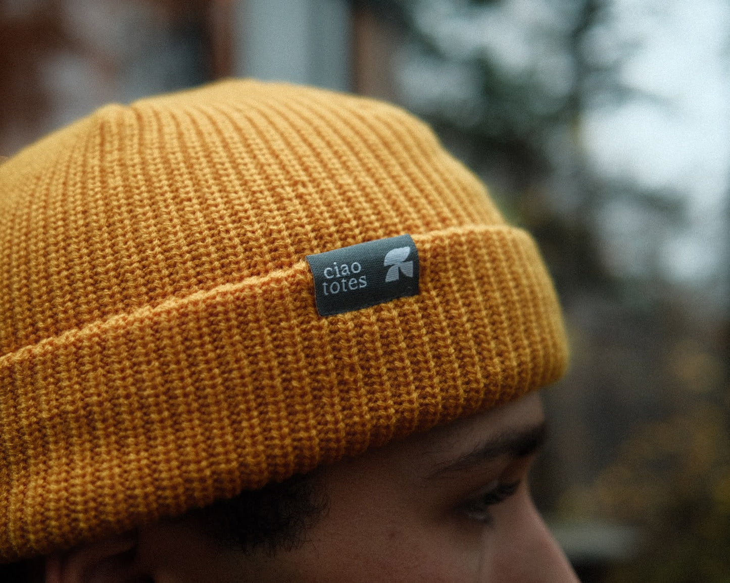 beanies meadows