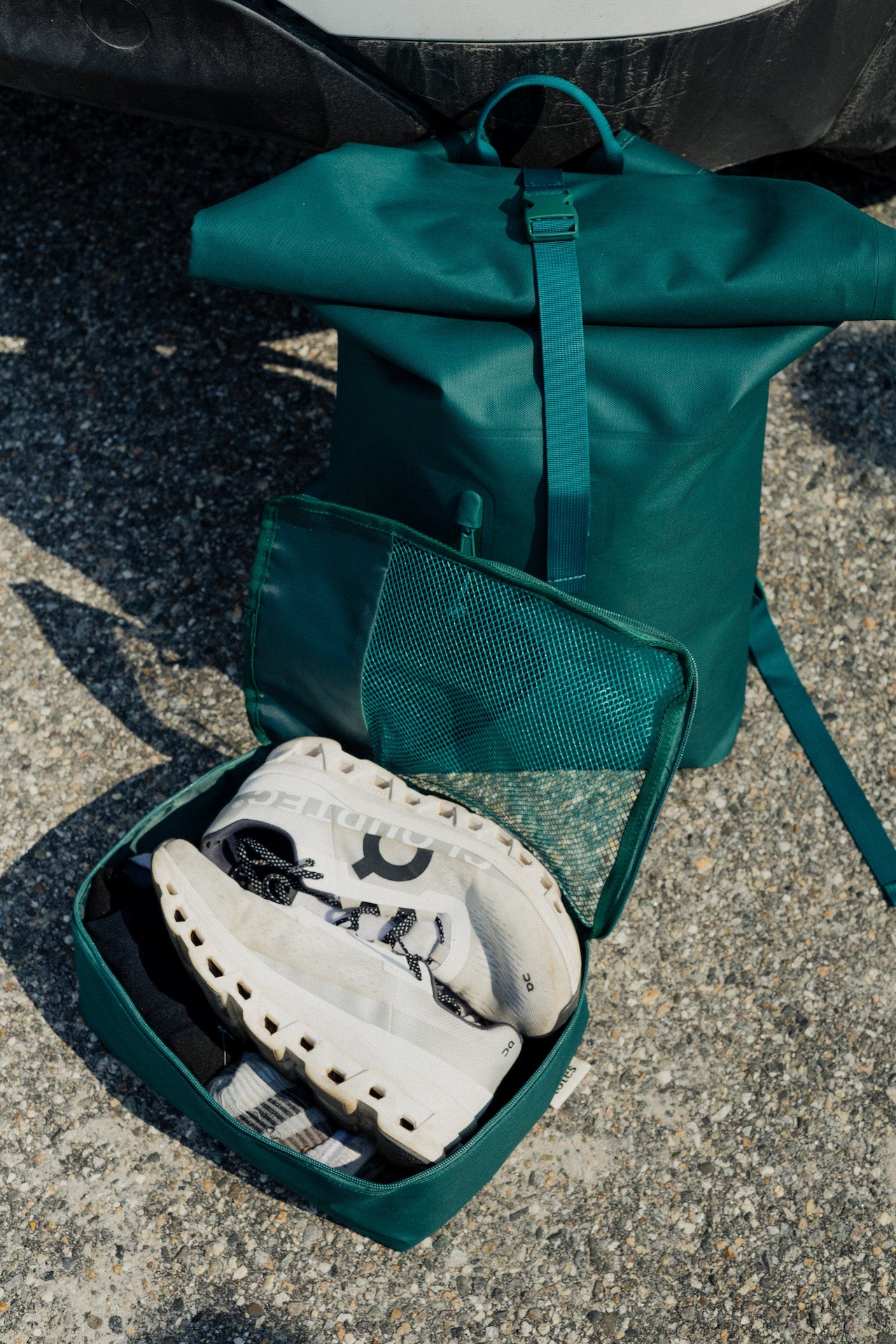 dry alpine green