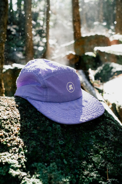 mesa purple