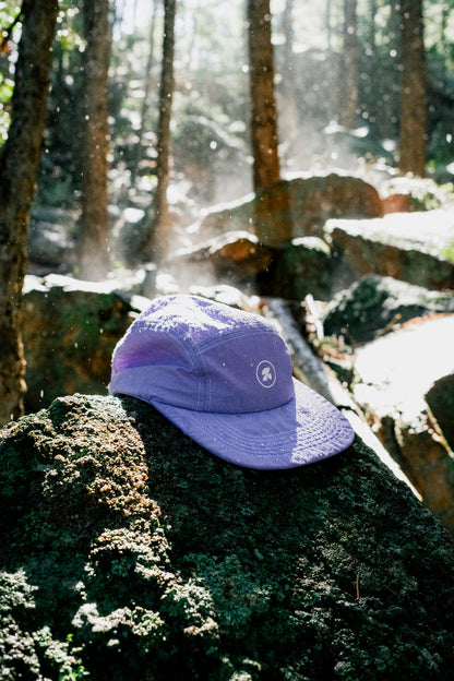 mesa purple