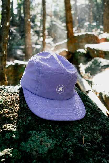 mesa purple