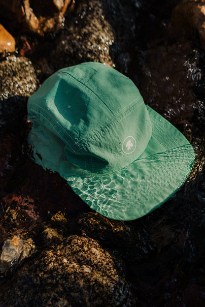 mesa mint