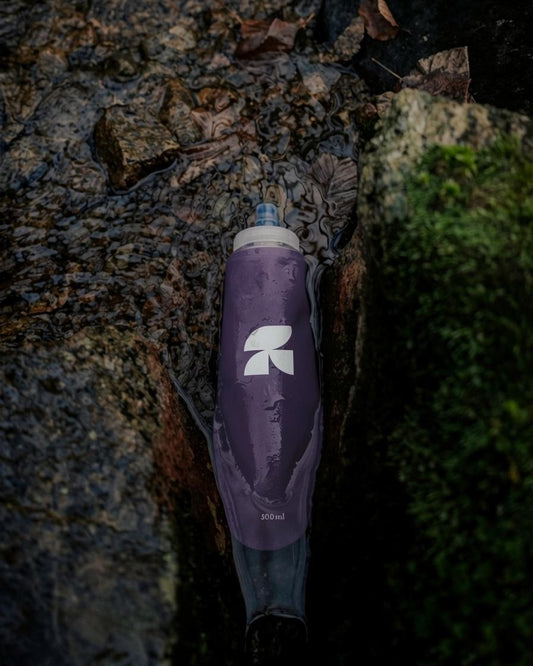 mauve6