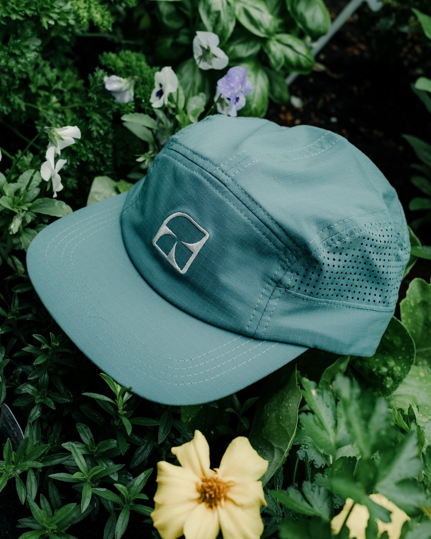 mesa cap fjord